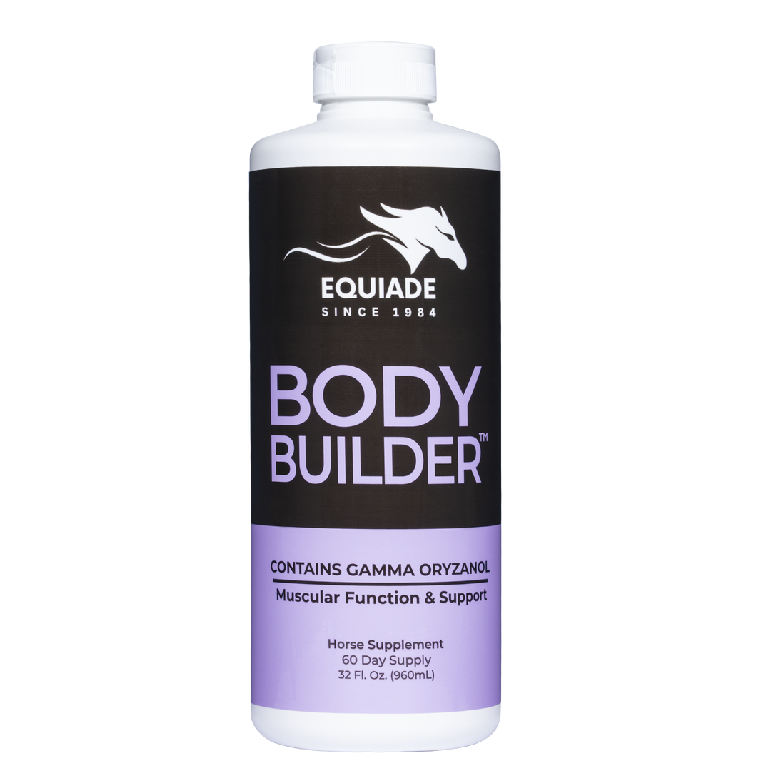 Body Builder™ Horse - Muscle & Coat Support