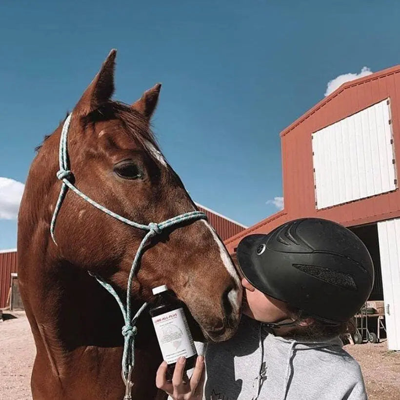 A rider in a helmet kisses her chestnut horse on the nose outside a red barn