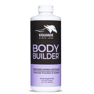 Body Builder™ Horse Supplement