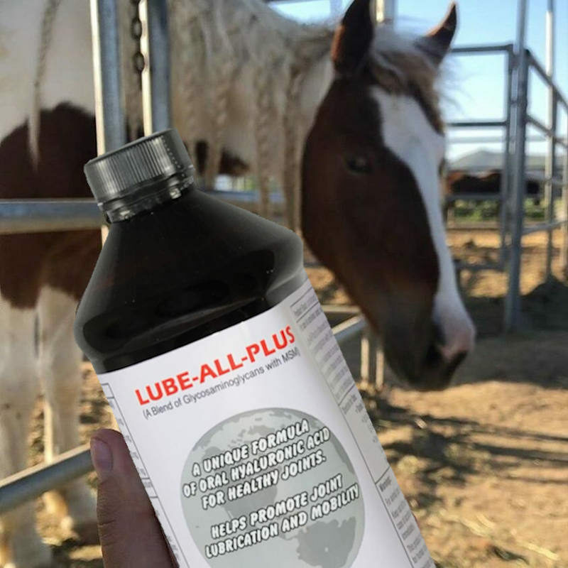 Lube-all-plus-square