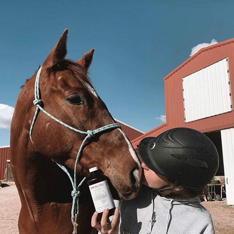 happy-jockey-and-horse-square